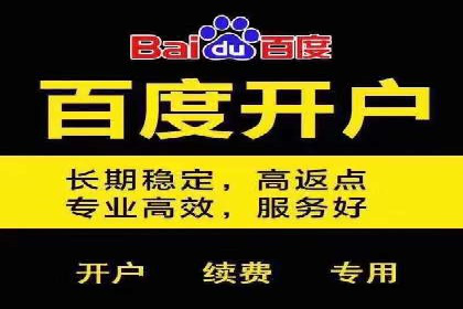 百度品牌专区推广的成效与案例